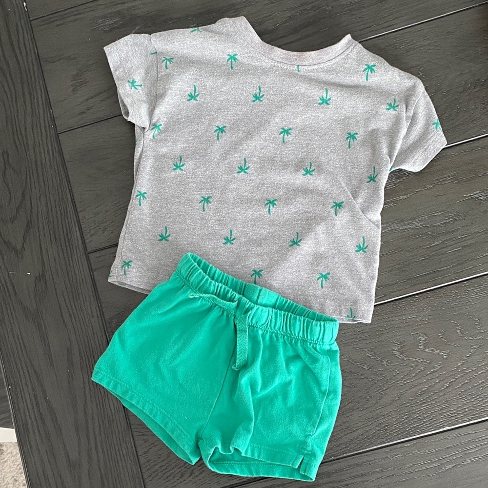 Baby Cat & Jack Gray and Green Palm Tree T-Shirt and Shorts Set